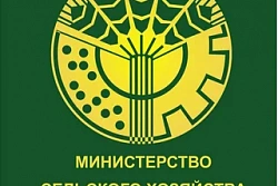 Чат в сервисе «МАХ» Министерства сельского хозяйства Иркутской области 