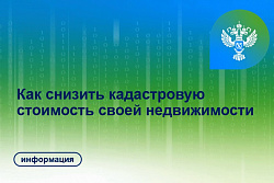 Замечания к результатам оценки земельных участков принимаются до 13 октября 2022 года 