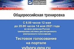 Стартовал второй этап общероссийской ТРЕНИРОВКИ  по дистанционному электронному голосованию