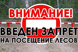 С 5 июня вводится ограничение на посещение лесов 