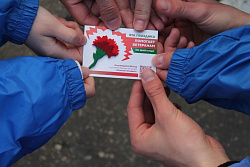 Ежегодная всероссийская акция помощи ветеранам «Красная гвоздика» стартует в Иркутской области 20 апреля