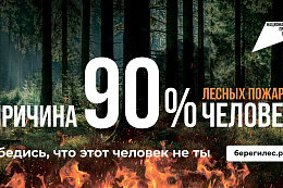 На опережение стихии: профилактика и борьба с лесными пожарами