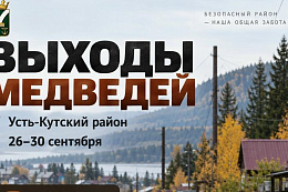 ️За пять дней в Усть-Кутском районе зафиксировано 11 выходов медведей