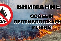 С 31 мая в  Усть-Кутском районе будет введён особый противопожарный режим.