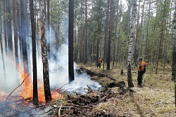 В Иркутской области накануне обнаружили и ликвидировали один лесной пожар
