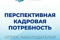 О проведении Всероссийского опроса работодателей о потребности в кадрах