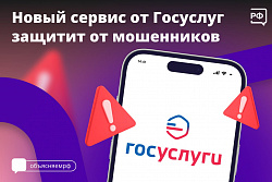 Для защиты от интернет-мошенников на портале госуслуг запустили комплексный сервис «Жизненная ситуация»