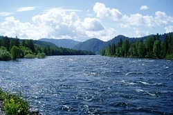 О результатах мониторинга качества воды водных объектов