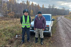 В Иркутской области пройдет профилактическое мероприятие «Колея» для борьбы с незаконными рубками леса