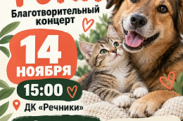  В Усть-Куте пройдёт благотворительный концерт в поддержку приютов для животных