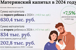 С начала 2024 года 15,4 тысячи семей в Иркутской области распорядились материнским капиталом 