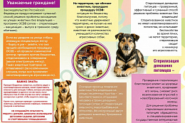 ОСВВ бездомных собак