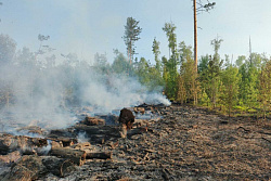 В Иркутской области за минувшие сутки потушили два лесных пожара