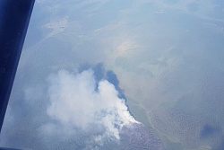 В лесах Иркутской области 3 июля ликвидировали 15 пожаров