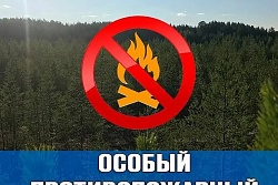 Уважаемые граждане, охотники и рыболовы Усть-Кутского района! Продолжает действовать запрет на посещение лесов!