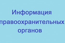 Информация правоохранительных органов