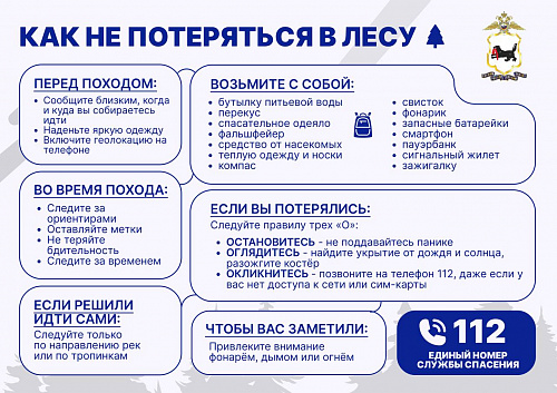 Как не потеряться в лесу: важная памятка от ГУ МВД Иркутской области