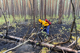В Иркутской области за сутки потушили 12 лесных пожаров