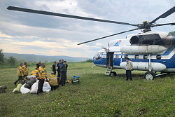 За минувшие сутки в Иркутской области ликвидировано восемь лесных пожаров