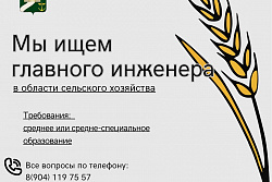 У НАС НОВАЯ ВАКАНСИЯ!