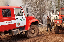 В Иркутской области за сутки потушили 17 лесных пожаров