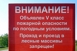 Оперативная информация по лесным пожарам на территории Усть-Кутского района 