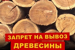 с 1 января 2022года вводится запрет на вывоз из Российской Федерации необработанной и грубо обработанной древесины хвойных и лиственных пород.