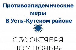 В Усть-Кутском районе приняты противоэпидемические меры в период нерабочих дней с 30 октября по 7 ноября