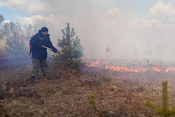 На утро 24 мая в Иркутской области действует три лесных пожара на площади 174,5 га