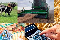 Открыт приём документов на получение субсидий по программе развития сельского хозяйства