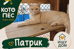  КОТОПЁС | Ищем своих