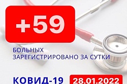 За сутки в Усть-Кутском районе выявлено 59 новых случаев коронавируса.