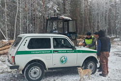 Патрулирование лесов усилят в Иркутской области в майские праздники